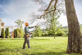 How Our Tree Care Process Works  in  Brookridge, FL